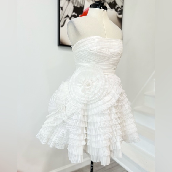 AJE Expressive tiered pleated organza mini dress - Picture 5 of 10